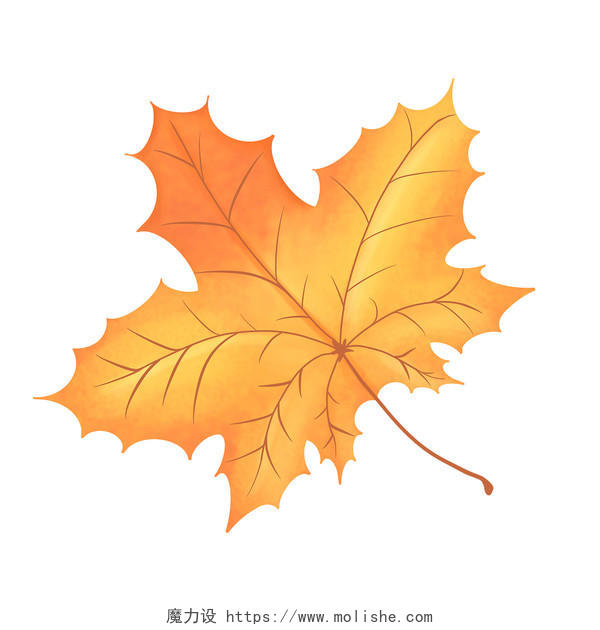 卡通风格结合一个枫叶 银杏叶PNG素材PSD素材秋天叶子